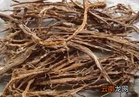 桑葚的功效与作用 桑葚食用功效非常棒
