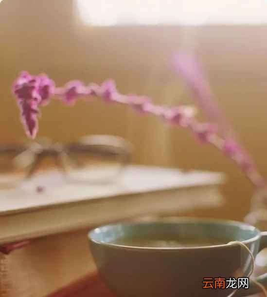 什么时间喝茶最佳时间 对的时间喝对的茶