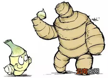 生姜的好处及功效 常吃生姜对身体好