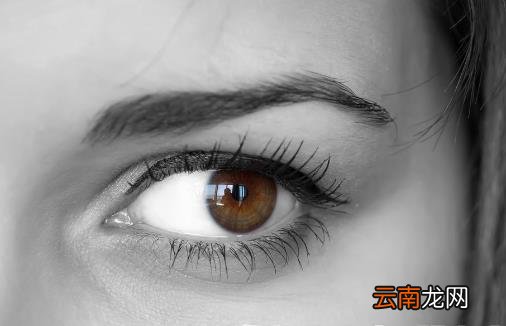导致红血丝过多的原因 眼睛红血丝需多冷敷眼部降温