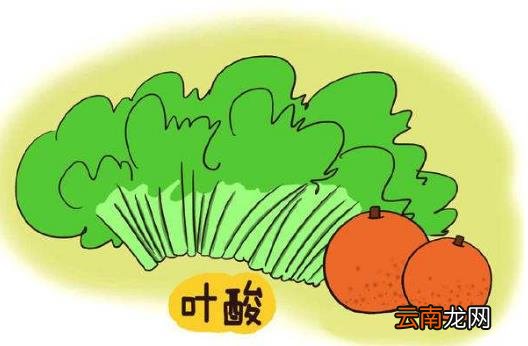 怀孕后吃叶酸怎么吃吃多久 叶酸片什么时候吃最好