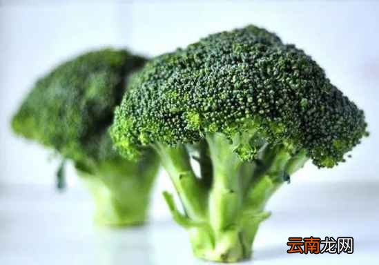 对眼睛好的食物 多吃这些保护眼睛棒