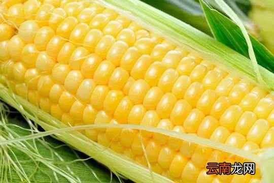 对眼睛好的食物 多吃这些保护眼睛棒