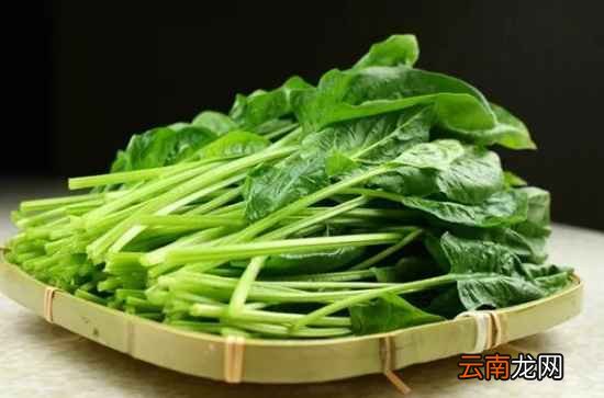对眼睛好的食物 多吃这些保护眼睛棒