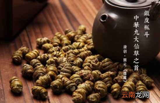 铁皮石斛的功效 石斛竟能预防多种疾病
