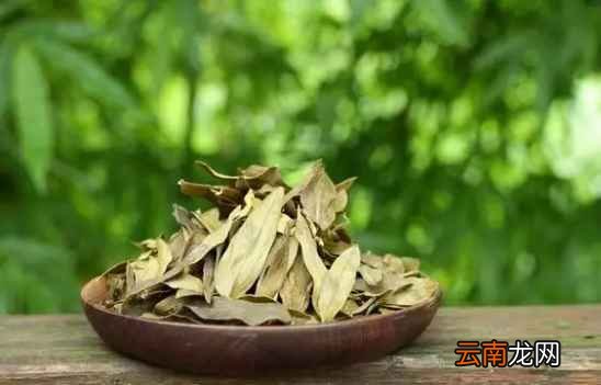 铁皮石斛的功效 石斛竟能预防多种疾病