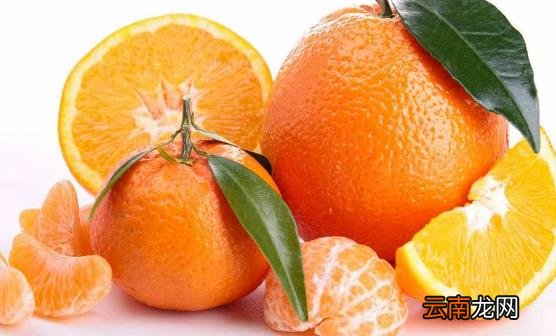 9种水果对于孕妇有神奇的效果 缓解孕期的不适症状