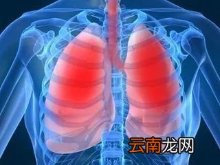 体内有火吃什么好 多吃这些食物降火快
