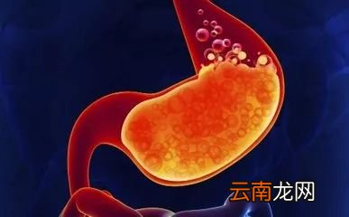 体内有火吃什么好 多吃这些食物降火快