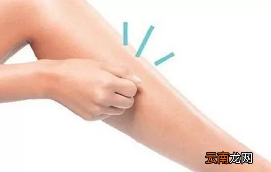 敲胆经的正确方法 如何正确找到胆经