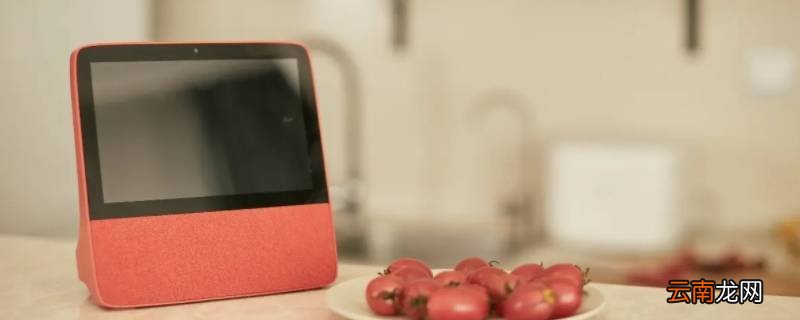 小度x8和x10区别
