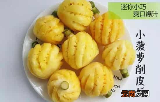 泰国小菠萝为啥那么甜 泰国菠萝小品种才是其亮点