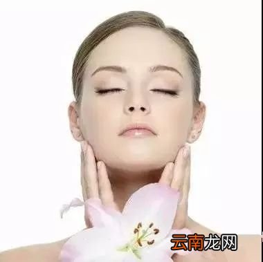 茶油的功效与作用 茶油秒杀橄榄油的八大功效你知道么?