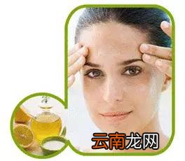 茶油的功效与作用 茶油秒杀橄榄油的八大功效你知道么?