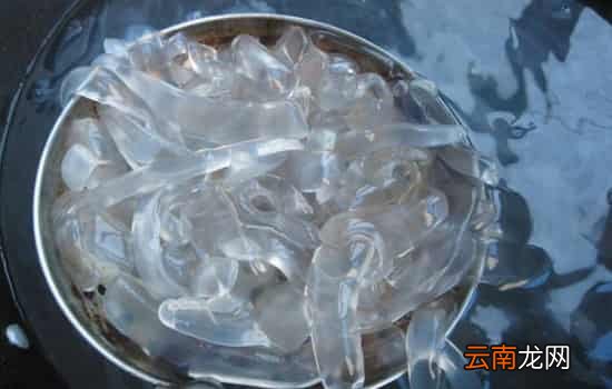 凉拌海蜇丝需要焯水吗 海蜇丝怎么焯才不缩水还爽脆
