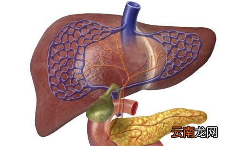 早上口苦是什么原因 早上口苦的原因分析