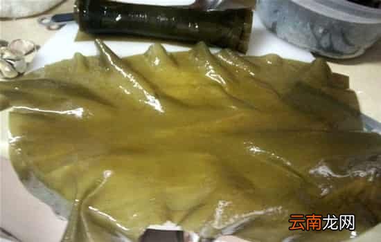 海带怎么切丝 凉拌海带丝的做法