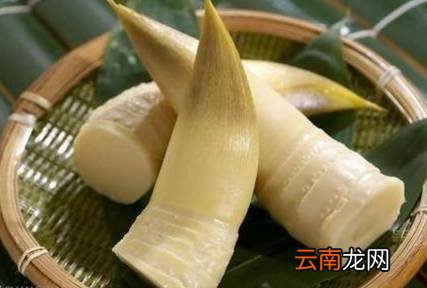 冬笋营养价值及做法 冬笋这样吃解油腻棒