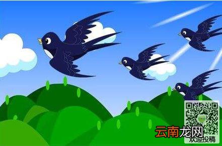 为什么下雨天燕子要低飞