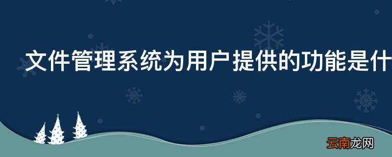 文件管理系统为用户提供的功能是什么