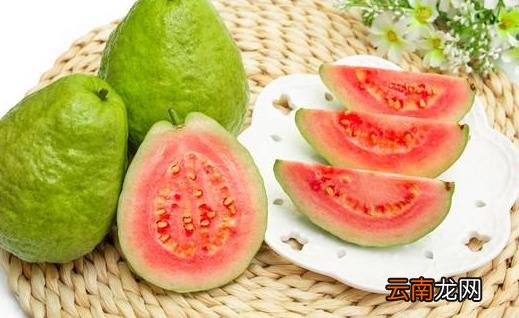 能吃出小蛮腰的食物 常见又便宜的6种纤维丰富食物