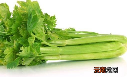 能吃出小蛮腰的食物 常见又便宜的6种纤维丰富食物