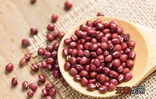 红豆的减肥方法 红豆薏仁汤能够减肥还养颜