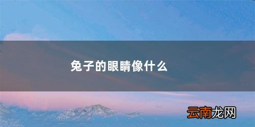 兔子的眼睛像什么似的 兔子的眼睛像什么