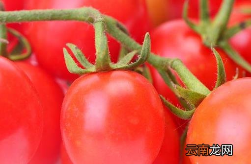 春季护肤养颜常吃八大食物 春季美白水果推荐