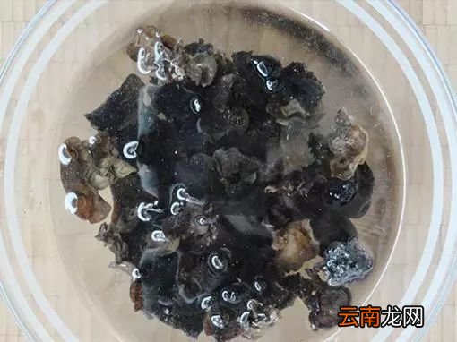鱼香肉丝的家常做法 鱼香肉丝这样炒好吃极了
