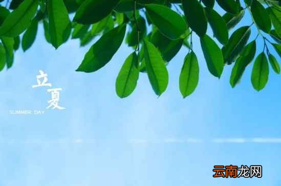 十款冰凉的夏日蜜饮 等着你来做哟