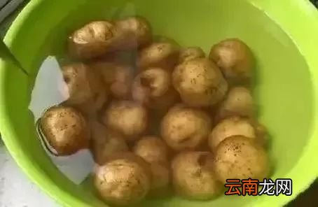 土豆番茄汤的功效 西红柿和它搭配吃功效好