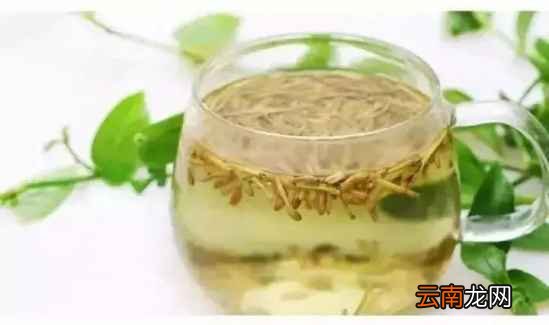 养生茶应该怎么喝 喝错了是会有害的哟
