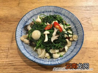 野菜纯天然有营养，你知道怎么吃吗？