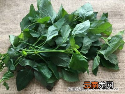 野菜纯天然有营养，你知道怎么吃吗？