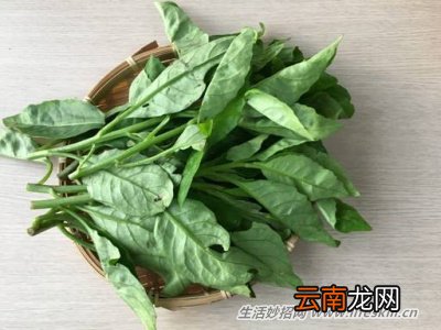 野菜纯天然有营养，你知道怎么吃吗？