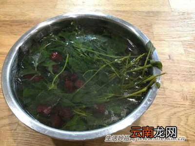 野菜纯天然有营养，你知道怎么吃吗？