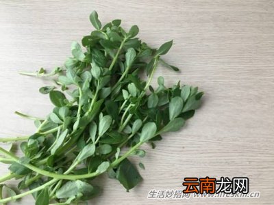 野菜纯天然有营养，你知道怎么吃吗？