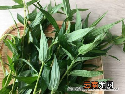野菜纯天然有营养，你知道怎么吃吗？