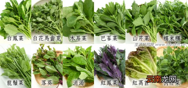 野菜纯天然有营养，你知道怎么吃吗？