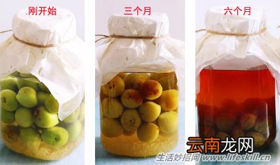 六月青梅熟，好酒泡起来！