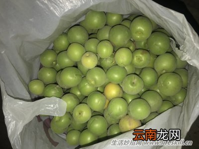 六月青梅熟，好酒泡起来！