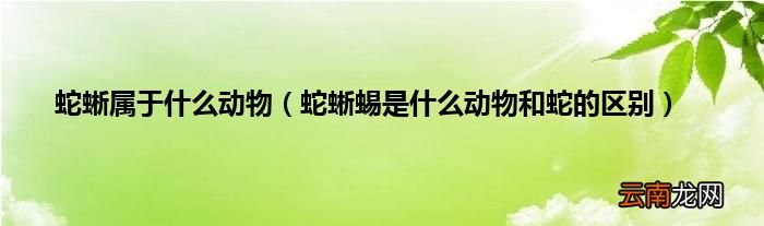 蛇蜥蜴是什么动物和蛇的区别 蛇蜥属于什么动物
