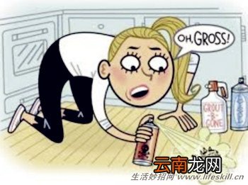 教你3招轻松驱赶蟑螂