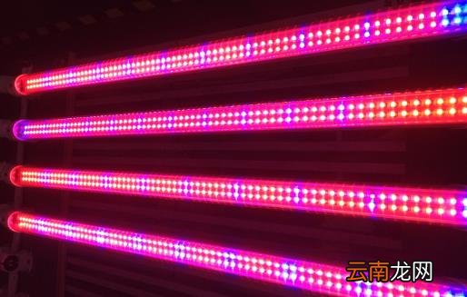 要节能省钱 选择节能耐用更省钱的LED灯