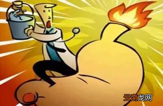 蒲公英的根和叶有什么功效 用对才最重要