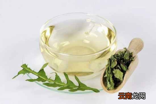 蒲公英的根和叶有什么功效 用对才最重要