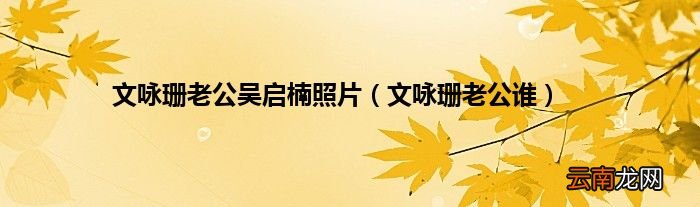文咏珊老公谁 文咏珊老公吴启楠照片