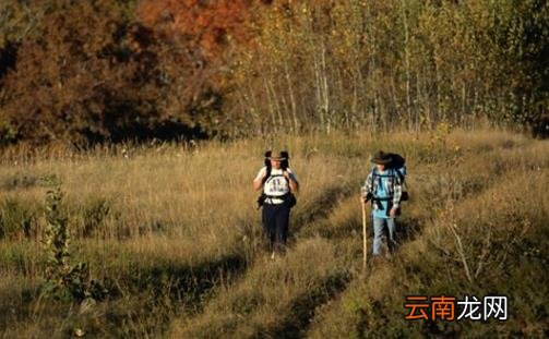 这些求生知识既简单又不难 关键时刻能救命