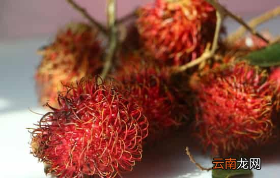 红毛丹可以放几天 红毛丹最好即买即食